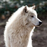 Profile picture of EarthDog